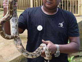 Snake