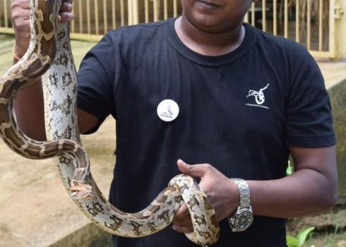 Snake