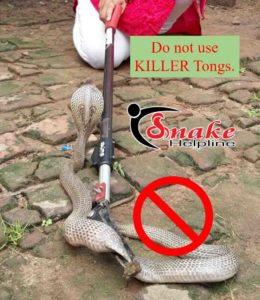 killer