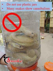 not use plastic