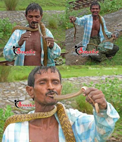 sutari
