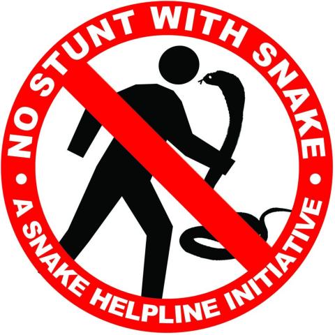 no stunt
