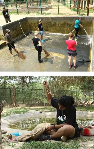 Volunteers Working